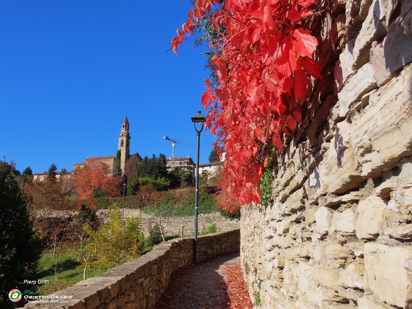16 Sulla salita dello Scorlazzino esplosione di colori autunnali.JPG